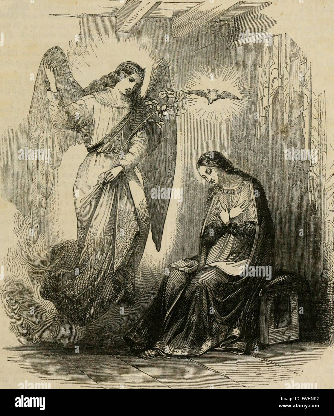 The New Testament Of Our Lord And Saviour Jesus Christ Translated From The New Testament Of Our Lord And Saviour Jesus Christ Translated From