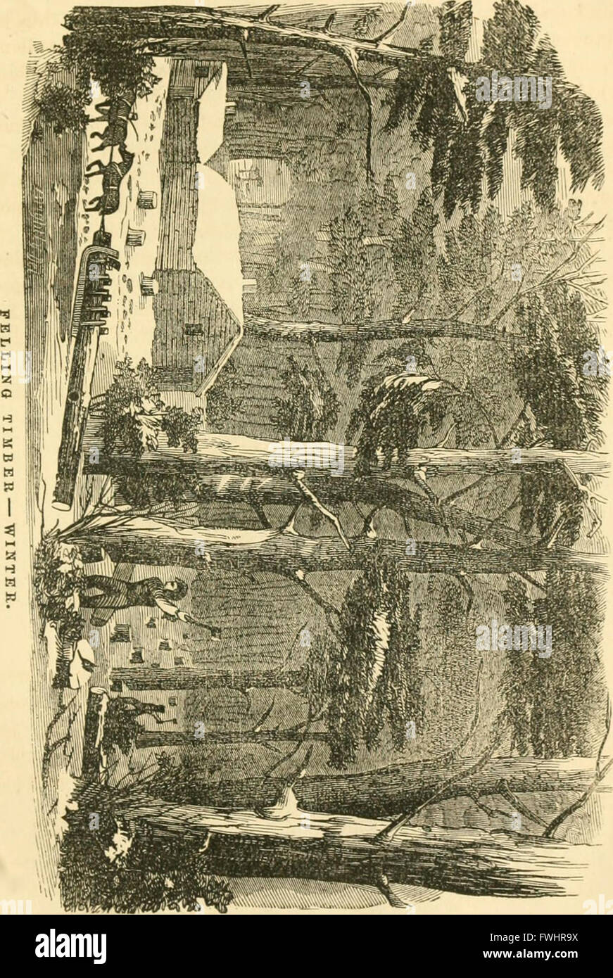 The pictorial sketch-book of Pennsylvania, or, Its scenery, internal improvements, resources, and agriculture, populary described (1852) Stock Photo