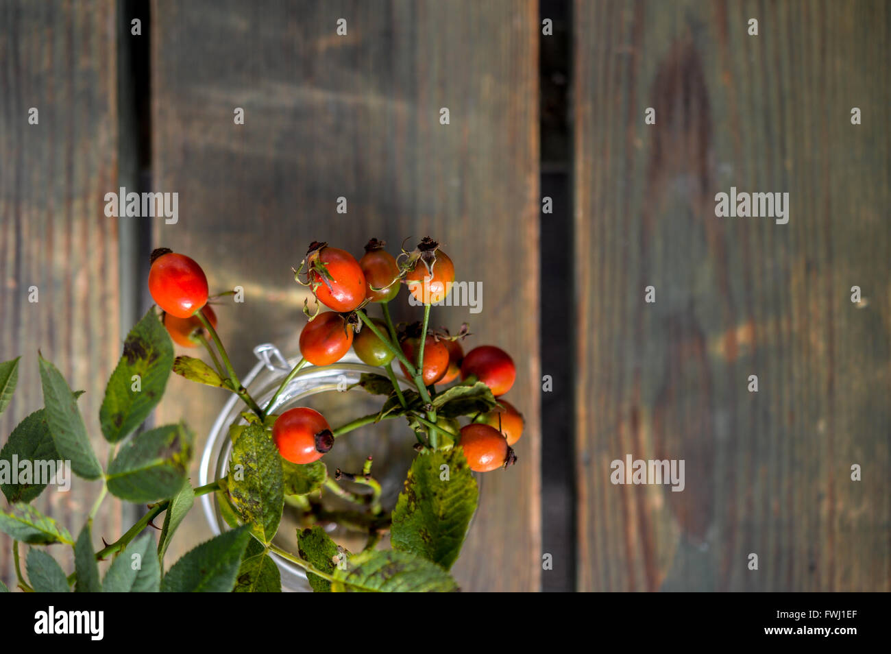 rose hip from rose flower in a jar on kitchen table Stock Photo
