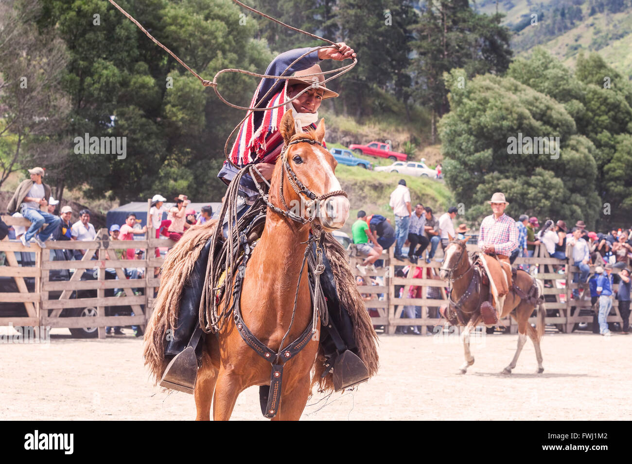 Banos, Ecuador - 30 November 2014: Young Latin Cowboy Riding A Horse And Throwing A Lasso Trying To Catch A Bull In Banos Stock Photo