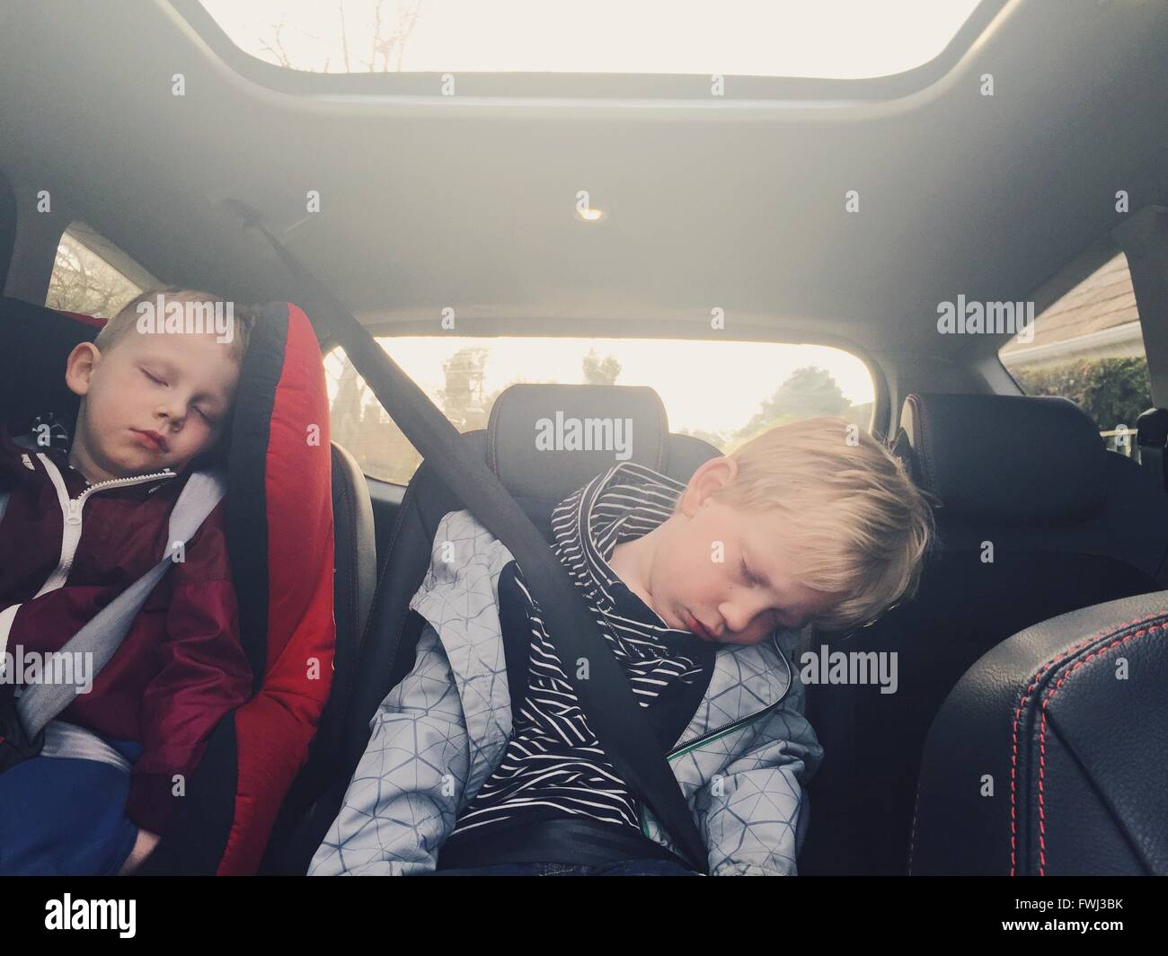 Children Sleeping In Backseat Of Car Stock Photo Alamy