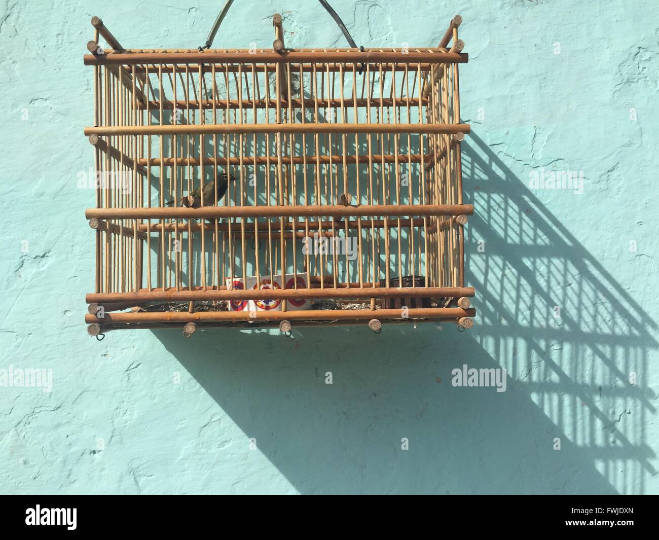 Hanging bird cage hires stock photography and images Alamy