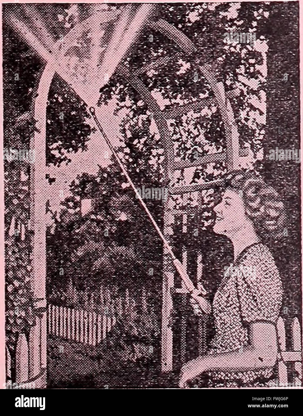 Armstrong Nurseries (1940 Stock Photo Alamy