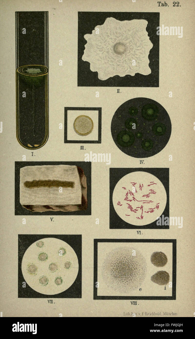 Disease study visualization hi-res stock photography and images - Alamy