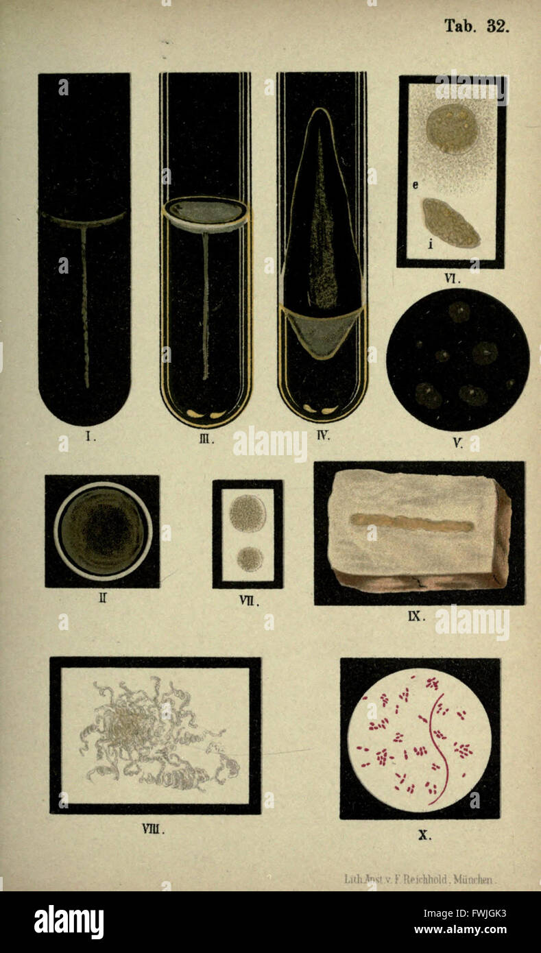 Germ theory of diseases hi-res stock photography and images - Alamy