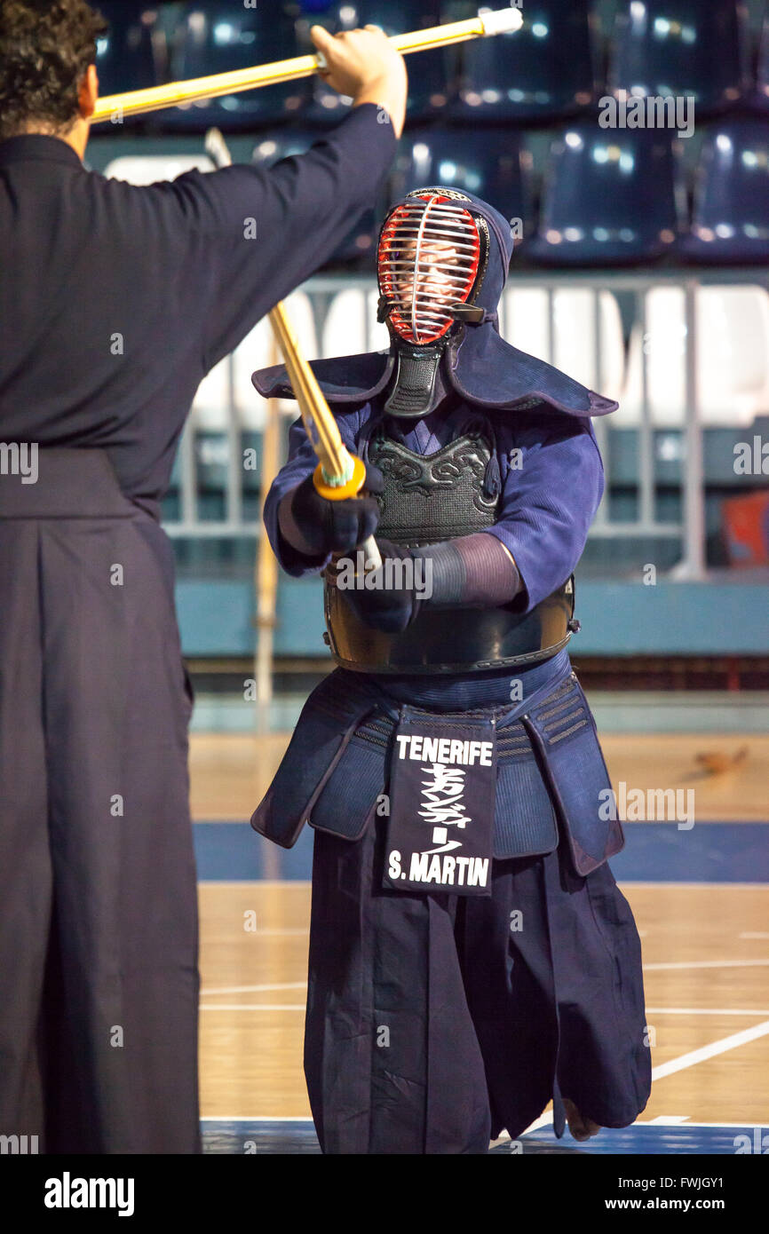 kendo martial arts exhibition Stock Photo Alamy