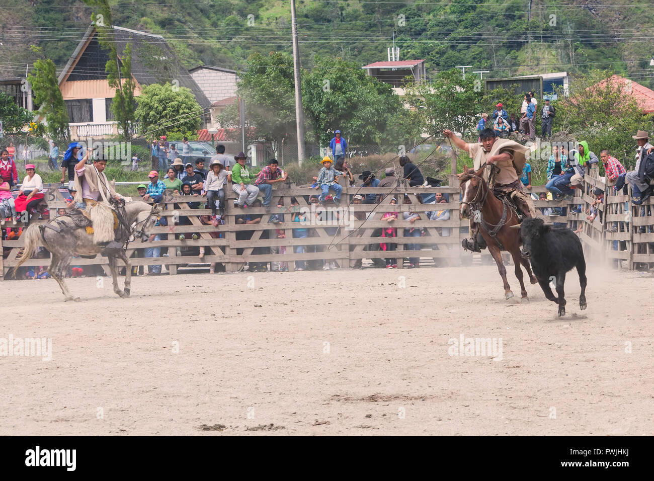 Banos, Ecuador - 30 November 2014: Young Latin Cowboys Chasing A Bull, Public Demonstration In South America In Banos Stock Photo