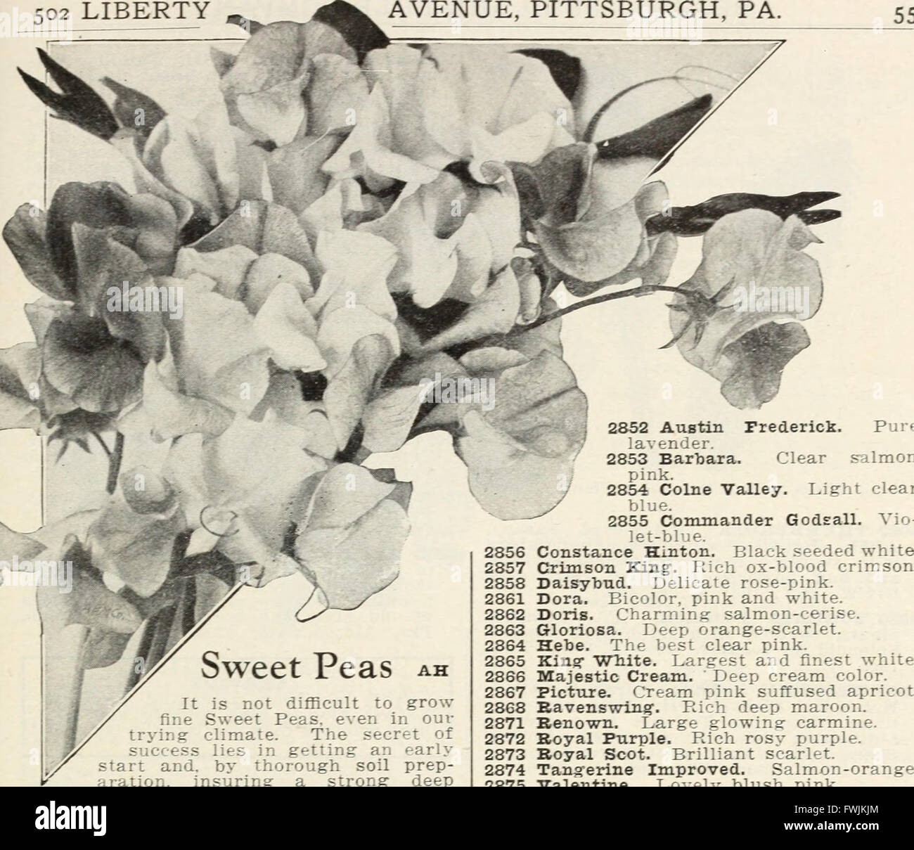 Beckert seed and bulb company 1927 (1927 Stock Photo Alamy