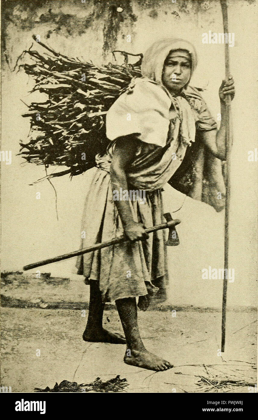 Bright days in sunny lands (1904) Stock Photo