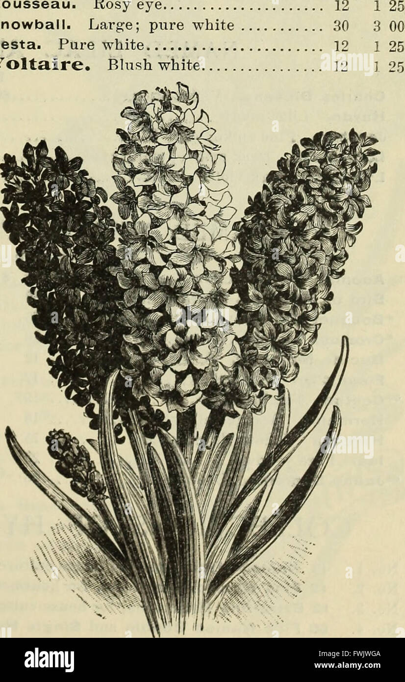 'Bulbs and Flowering Roots for Fall Planting' (1899) provides practical ...