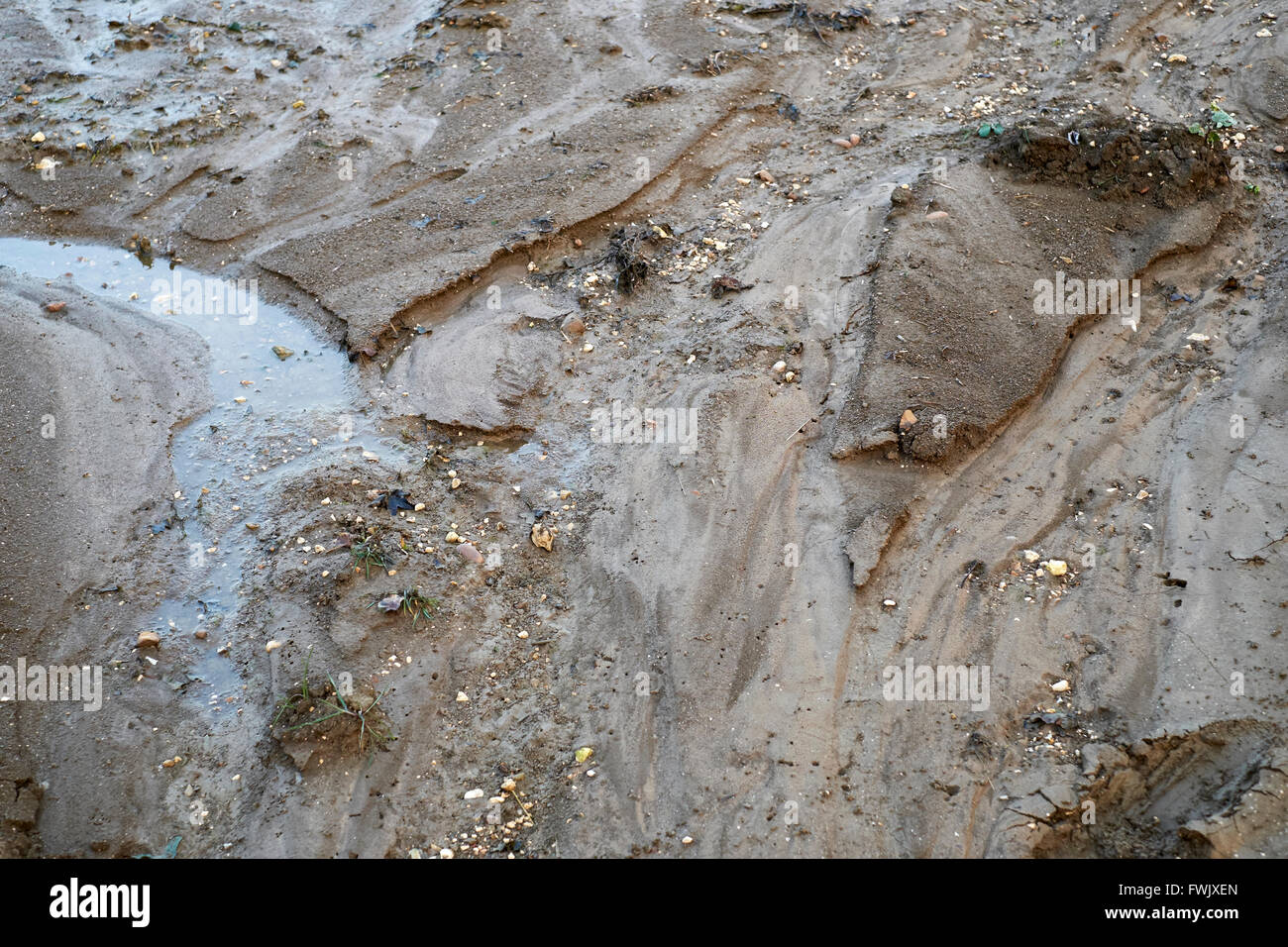 Soil erosion as a result of overland flood water. Stock Photo