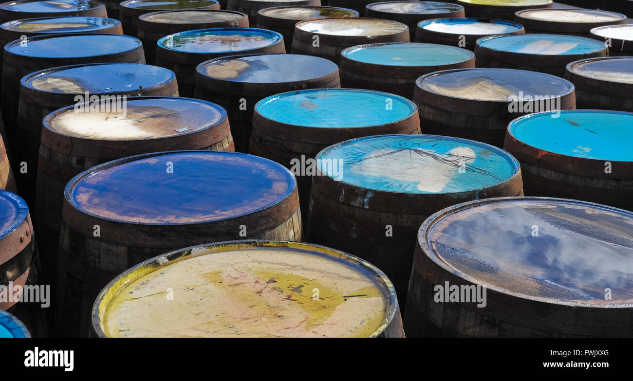 Tops of scotch whisky barrels Stock Photo Alamy