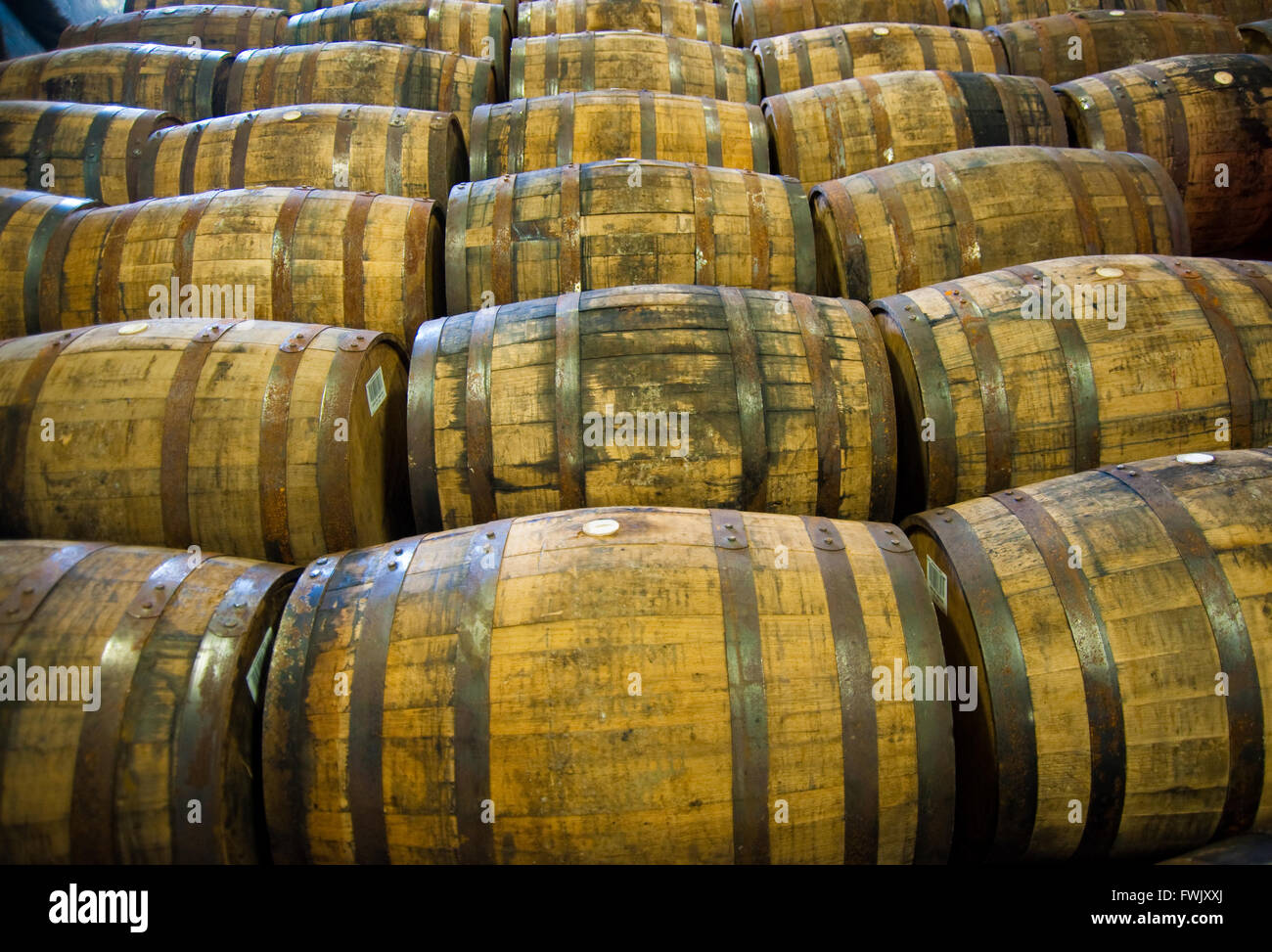 Scotch whisky barrels Stock Photo Alamy