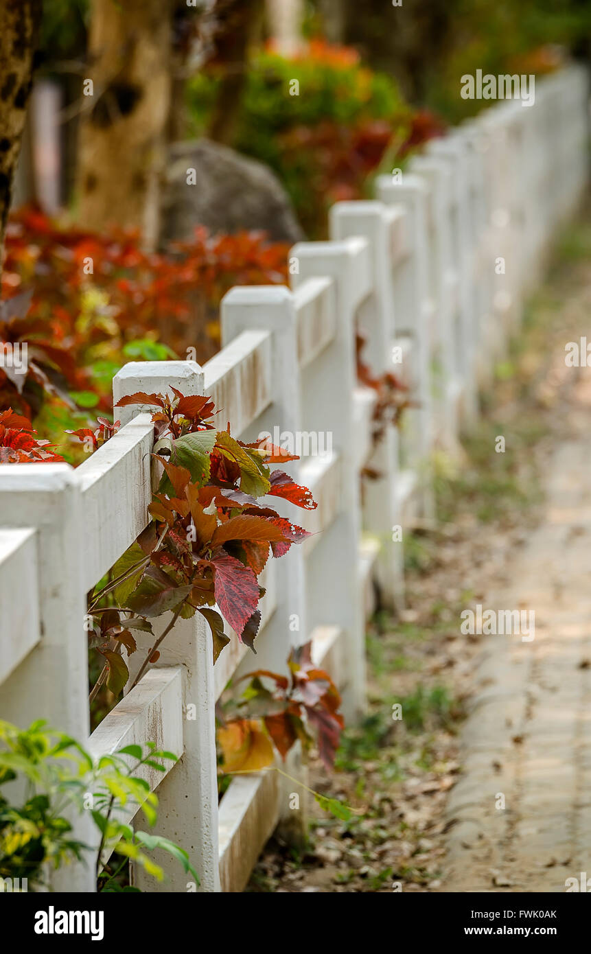 Concrete fence hi-res stock photography and images - Alamy