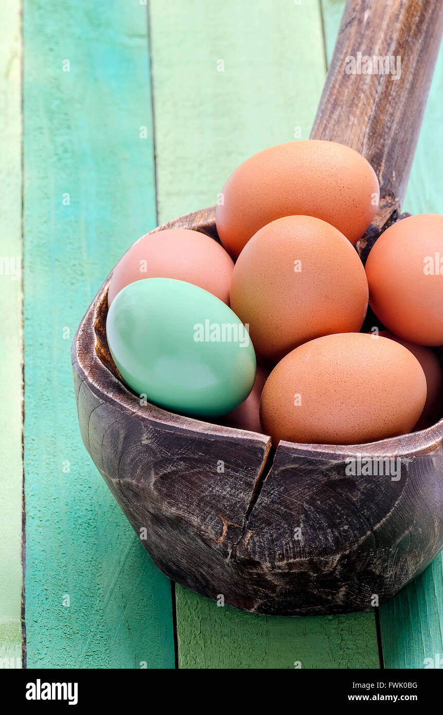 Sizing an Americana Chicken Green egg at a farm in Idaho using a Jiffy-Way egg  scale Stock Photo - Alamy