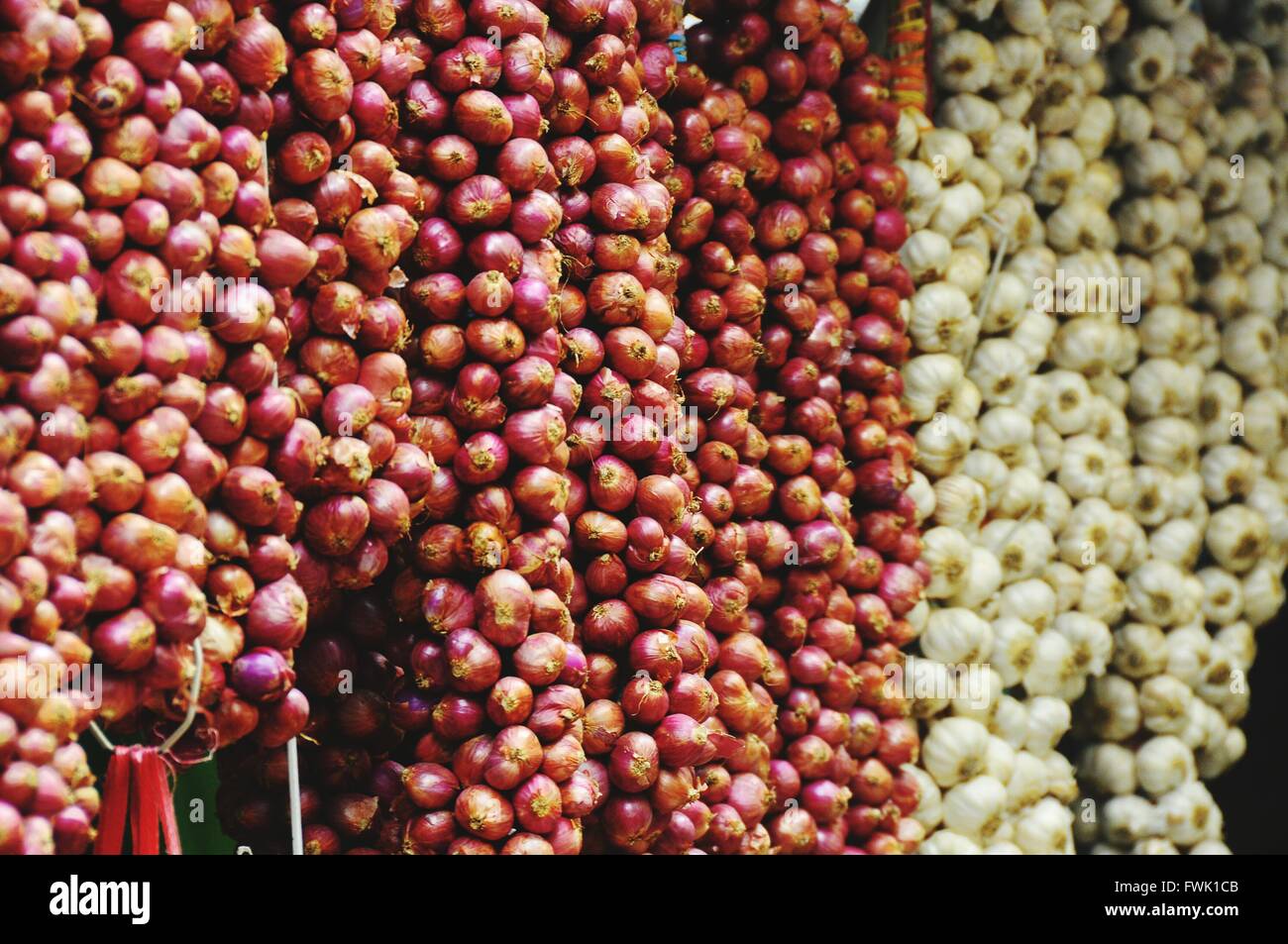 Hanging onions hires stock photography and images Alamy