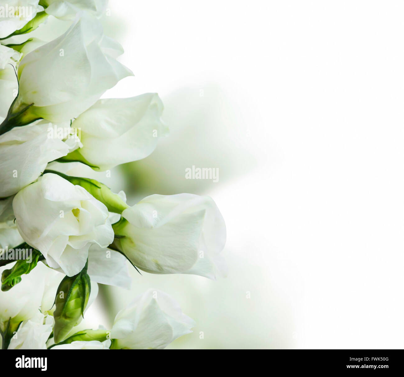 White roses bouquet hi-res stock photography and images - Alamy