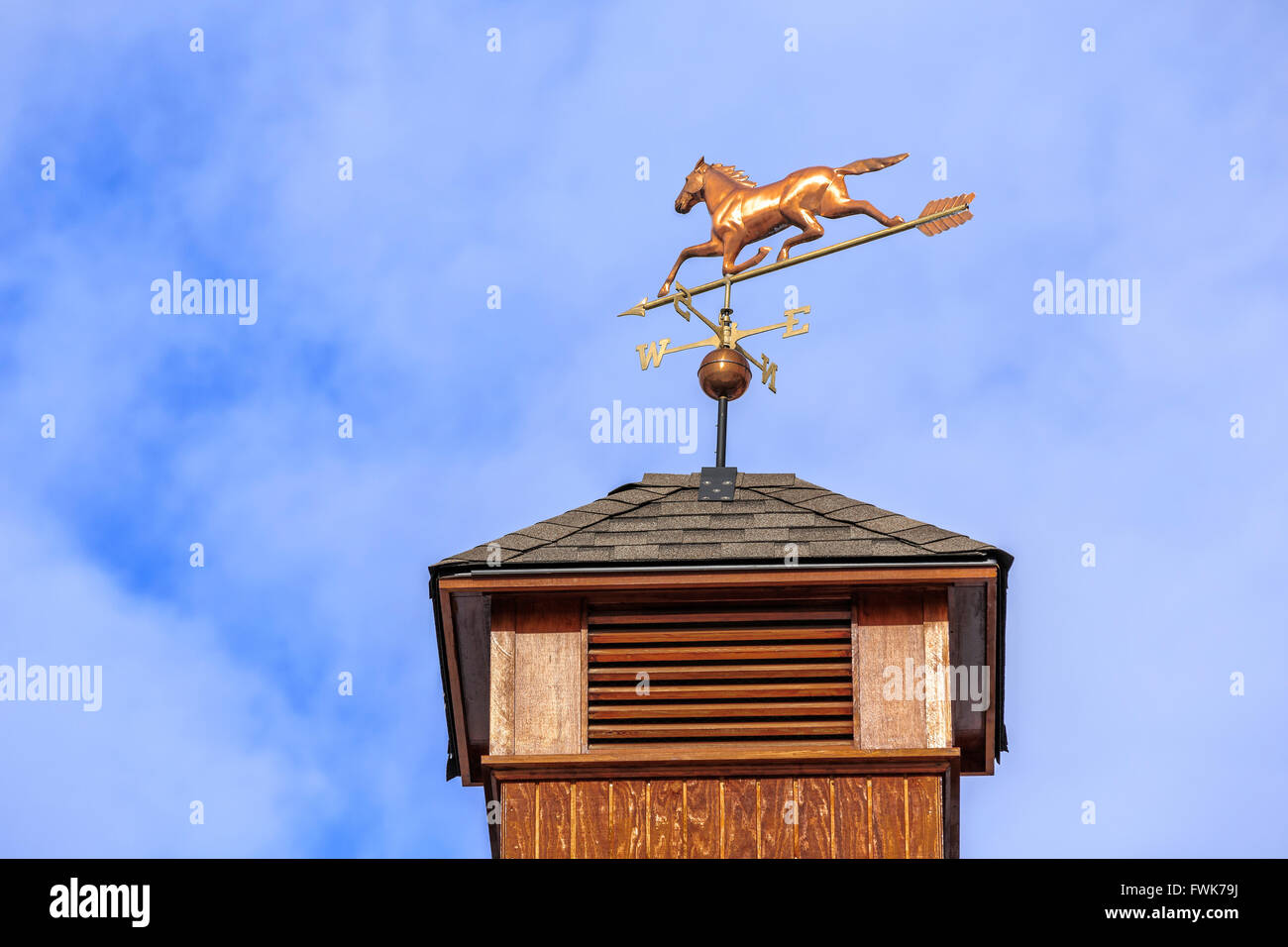 Weather vane on a cupola. Stock Photo