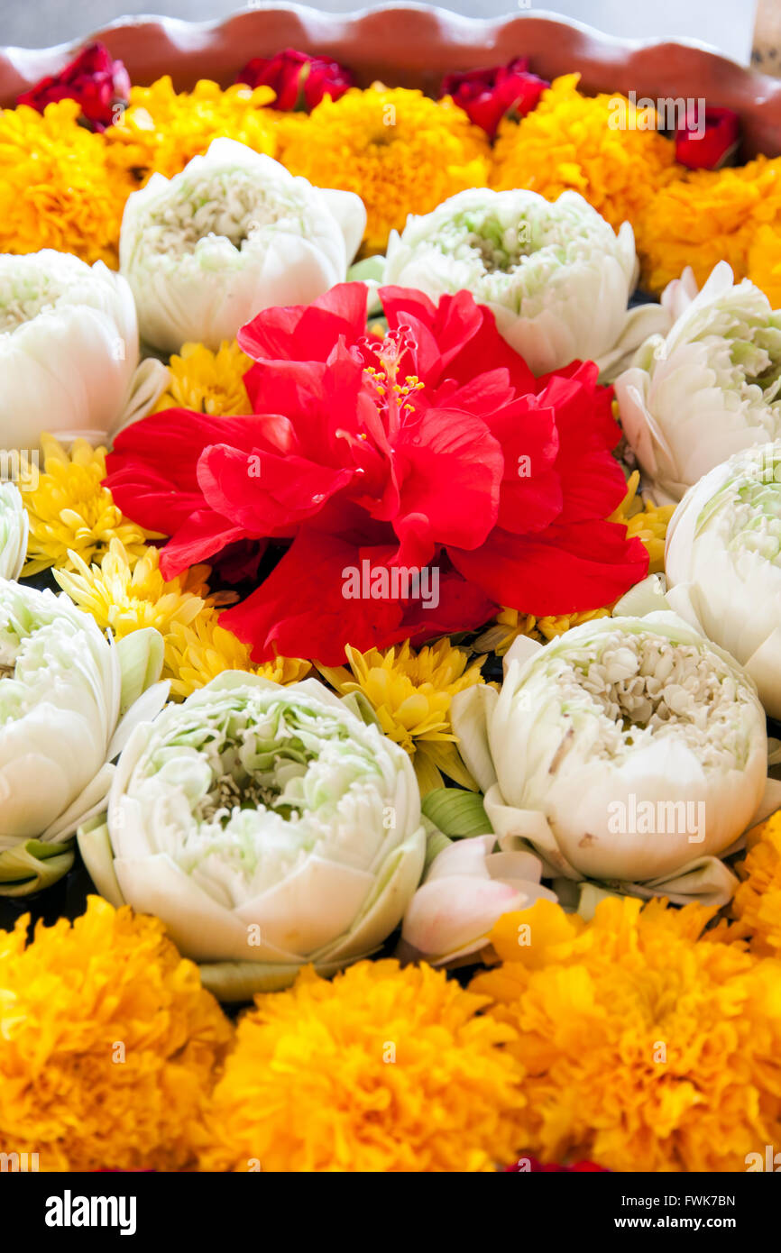 Arranged in a circle flowers red hibiscus and lotus and marigold Stock Photo Alamy