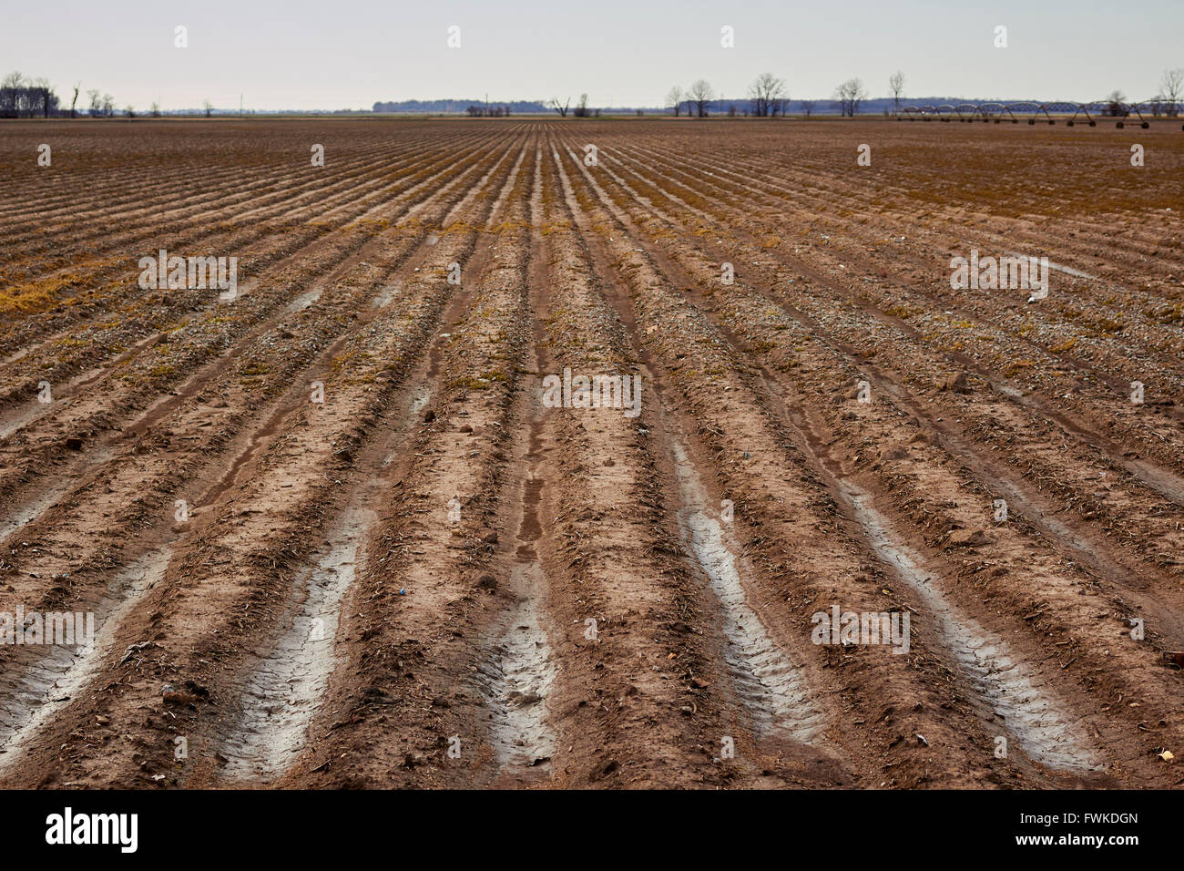 Agriculture mississippi delta hi-res stock photography and images - Alamy