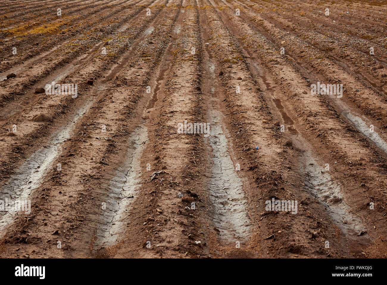 Farming mississippi delta hi-res stock photography and images - Alamy