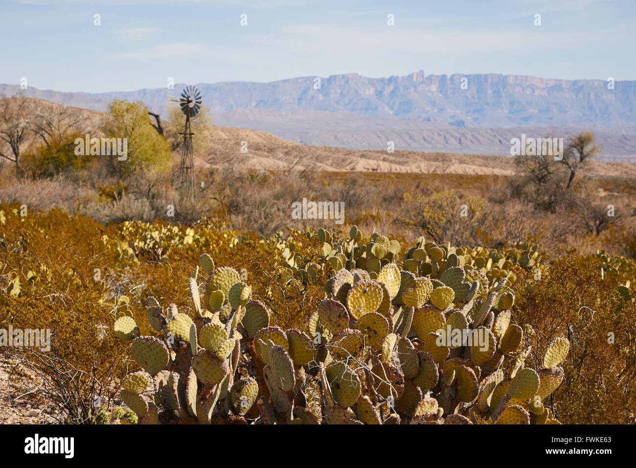 Windmill water pump, Dugout Wells, Big Bend National Park, Texas, USA