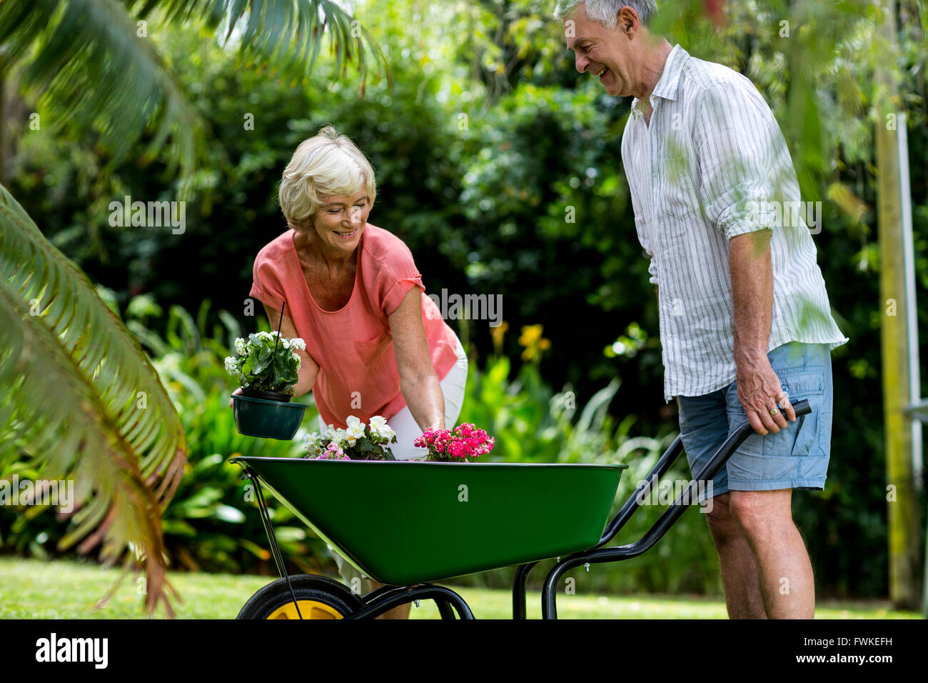 Senior man holding wheelbarrow hi-res stock photography and images - Alamy