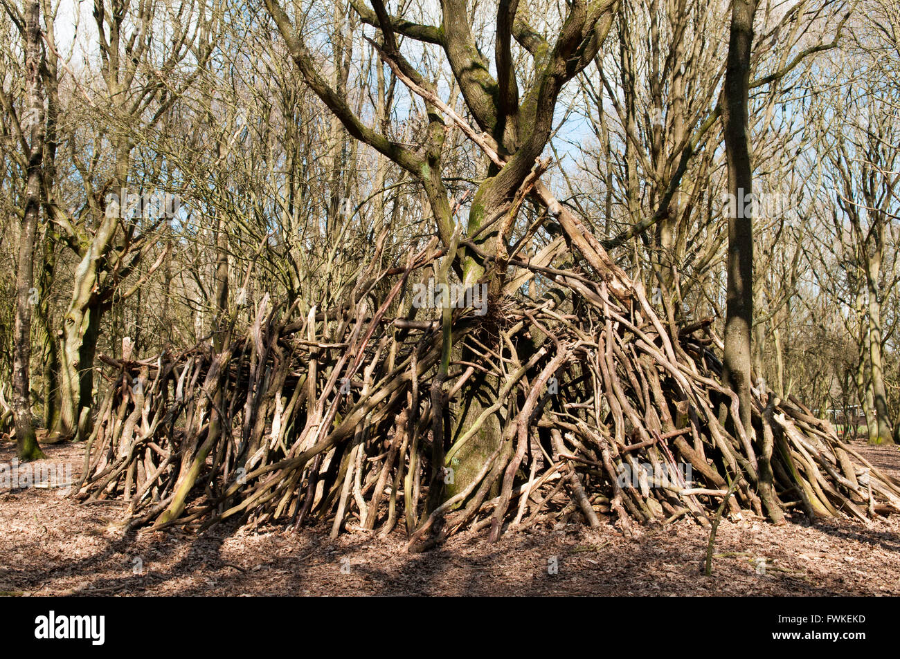Large stick den built around a tree in the forest Stock Photo