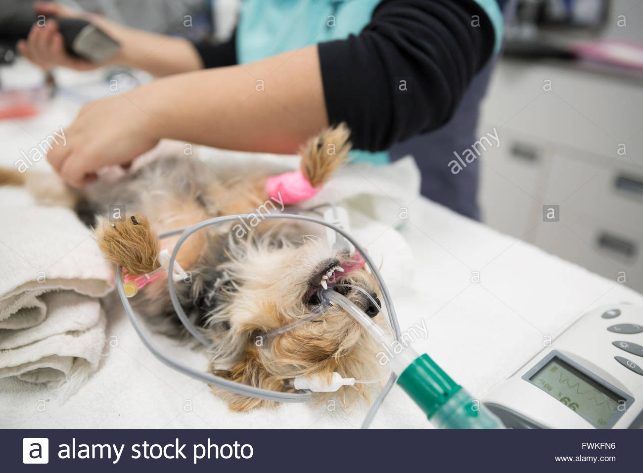 Undergoing Stock Photos & Undergoing Stock Images Alamy
