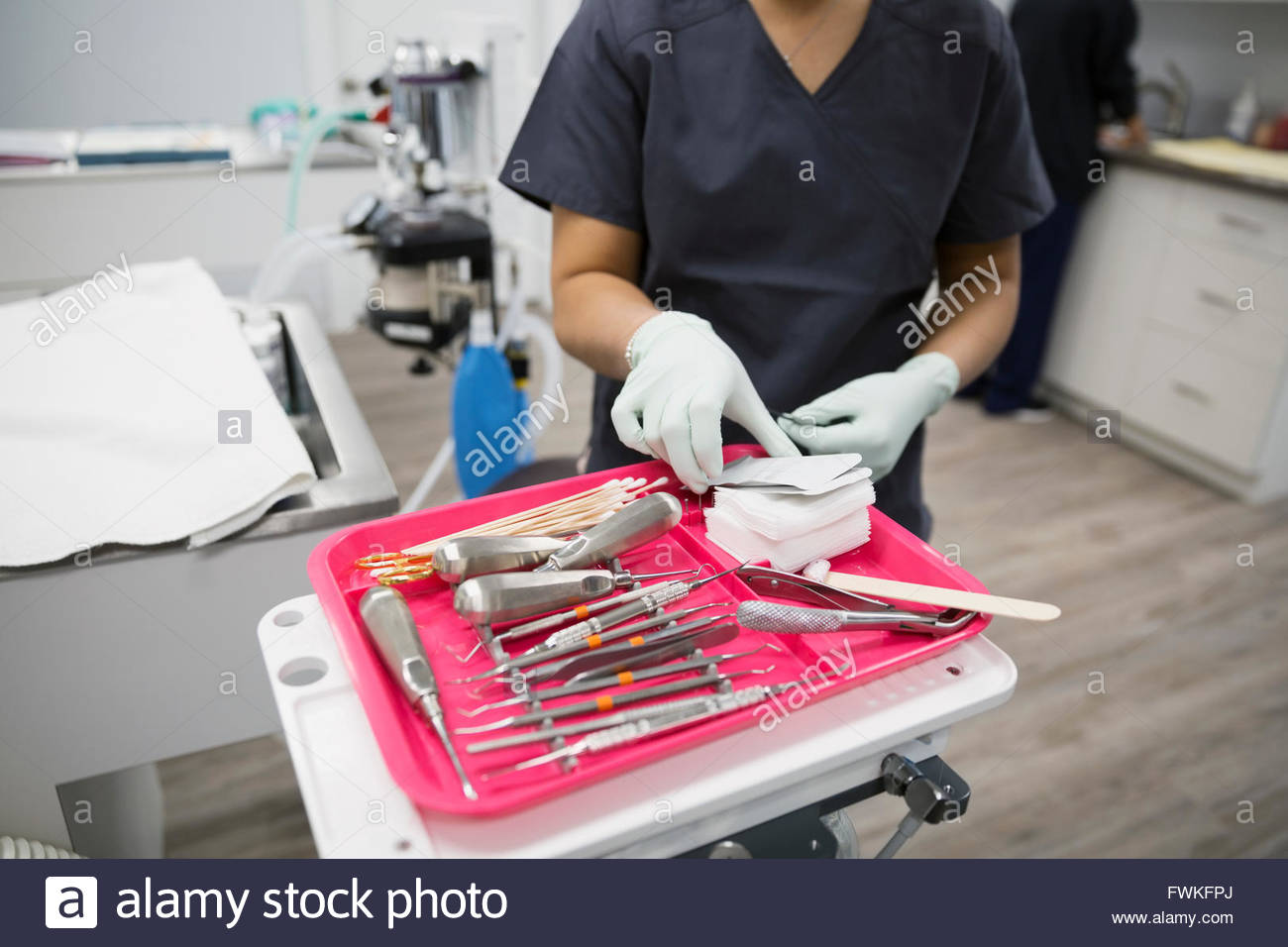 Veterinarian arranging surgical tools on tray in clinic Stock Photo Alamy