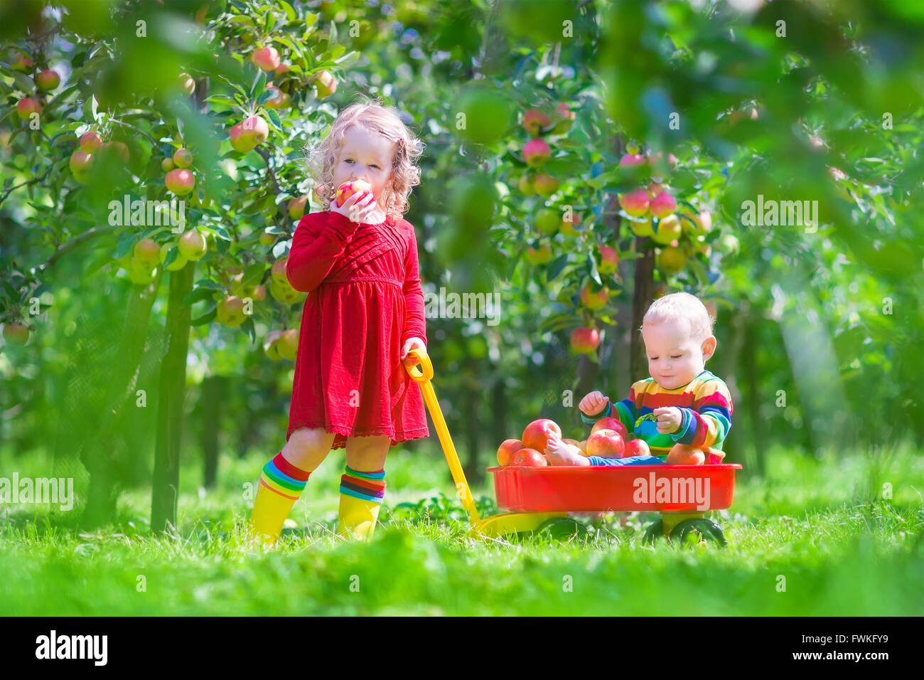 Happy little children, cute toddler girl and adorable funny baby boy