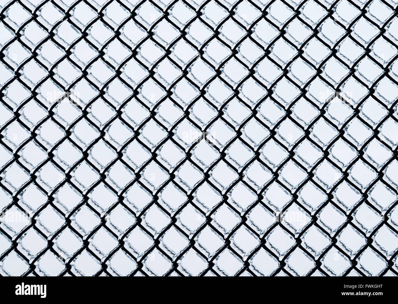 Black medium chain-link fence covered in ice on white background. Stock Photo