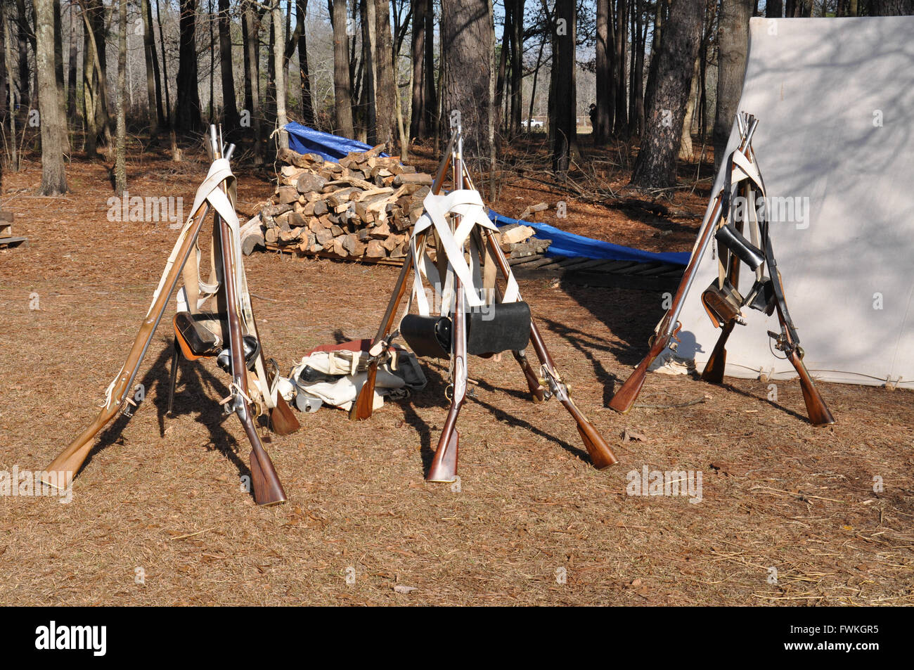 A Reenactment of the Battle of Cowpens in Cowpens,South Carolina Stock