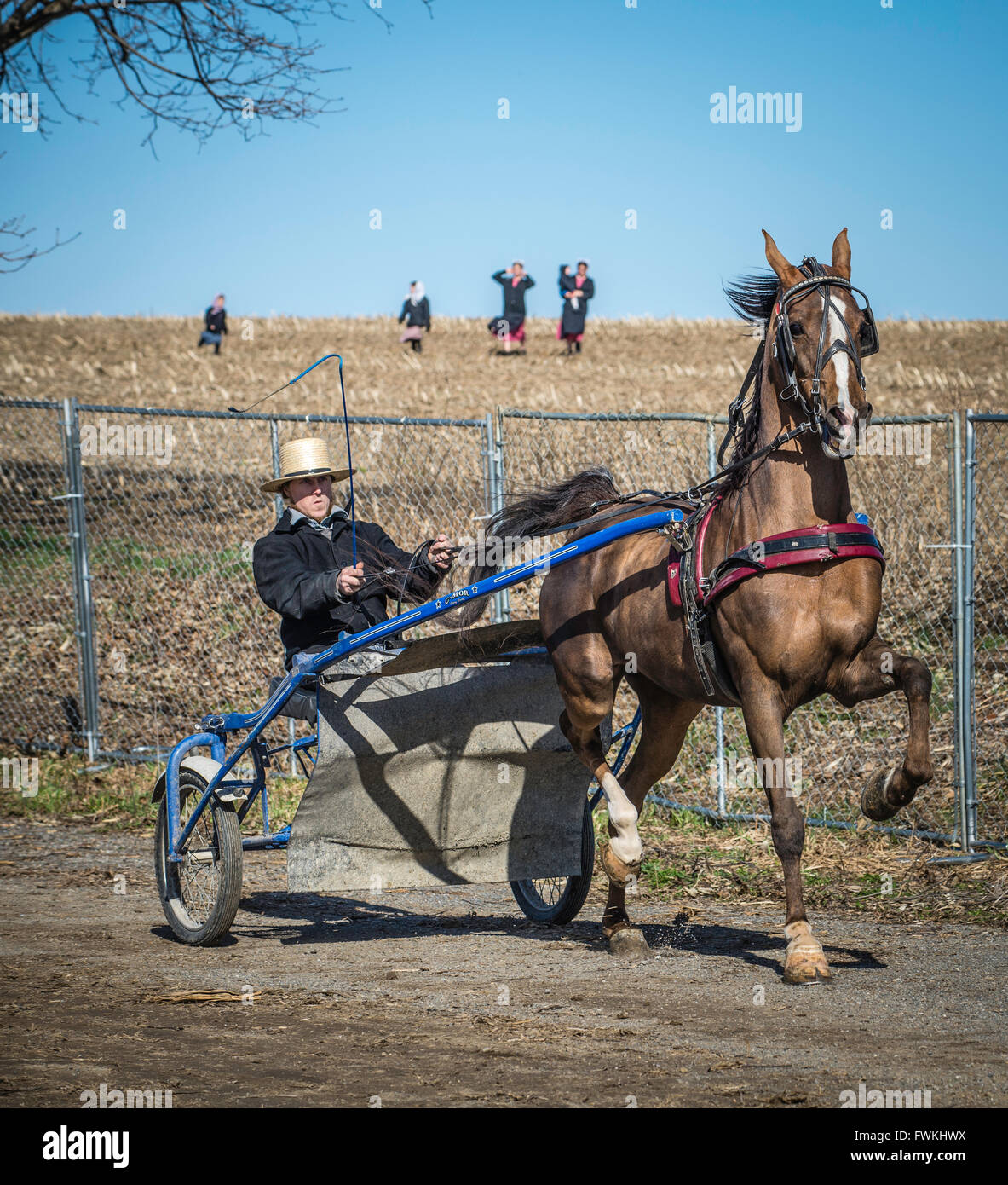 Rawlinsville, PA Amish Mud Sale, held every spring in Lancaster, PA