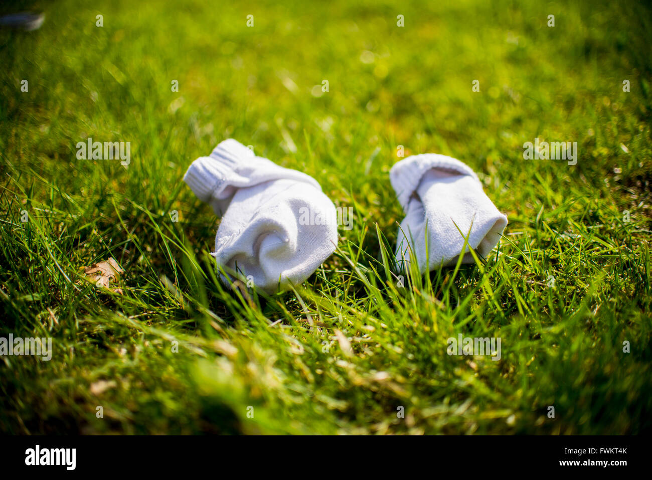 white socks on green grass Stock Photo Alamy