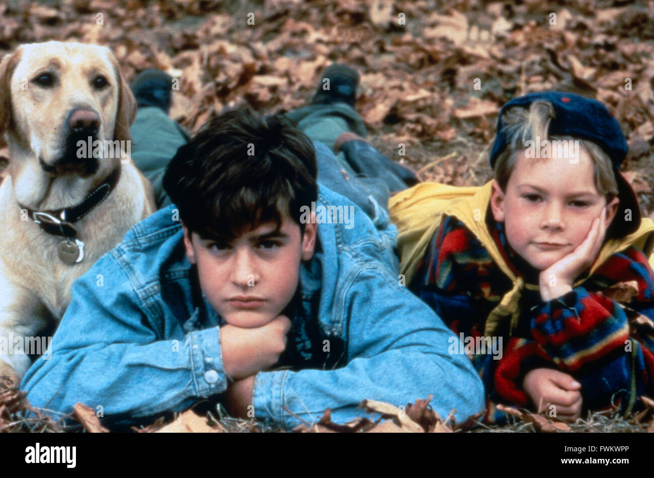 Far from Home: The Adventures of Yellow Dog, aka: Gefährliche Wildnis, USA 1995, Regie: Phillip Borsos, Darsteller: Jesse Bradford, Joel Palmer Stock Photo