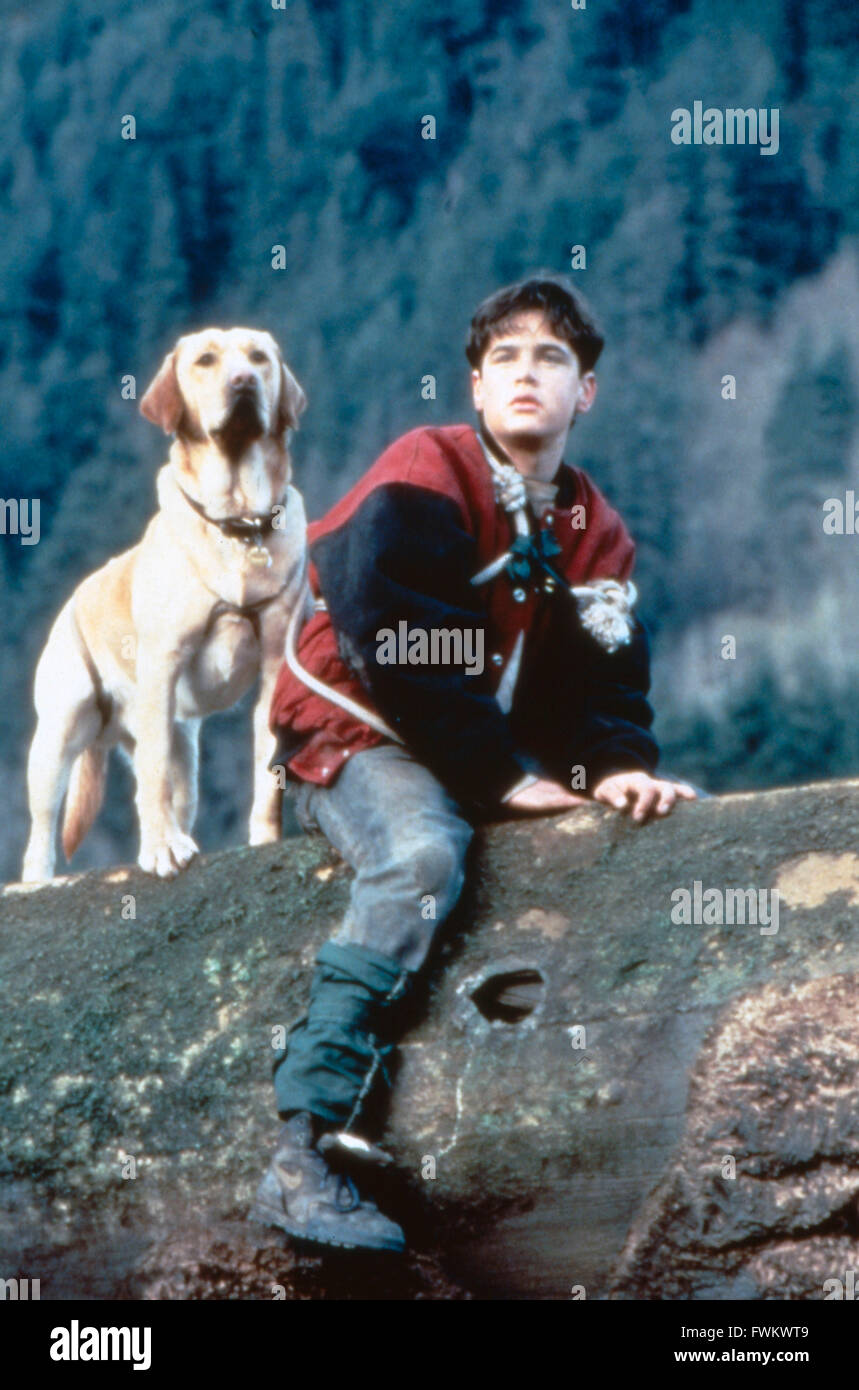 Far From Home The Adventures Of Yellow Dog Far From Home The Adventures Of Yellow Dog