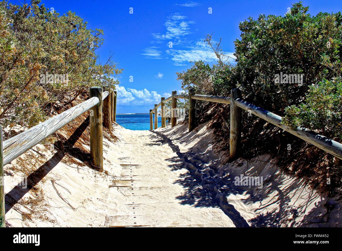 Walkway Amidst Railing And Plant At Beach Against Sky Stock Photo