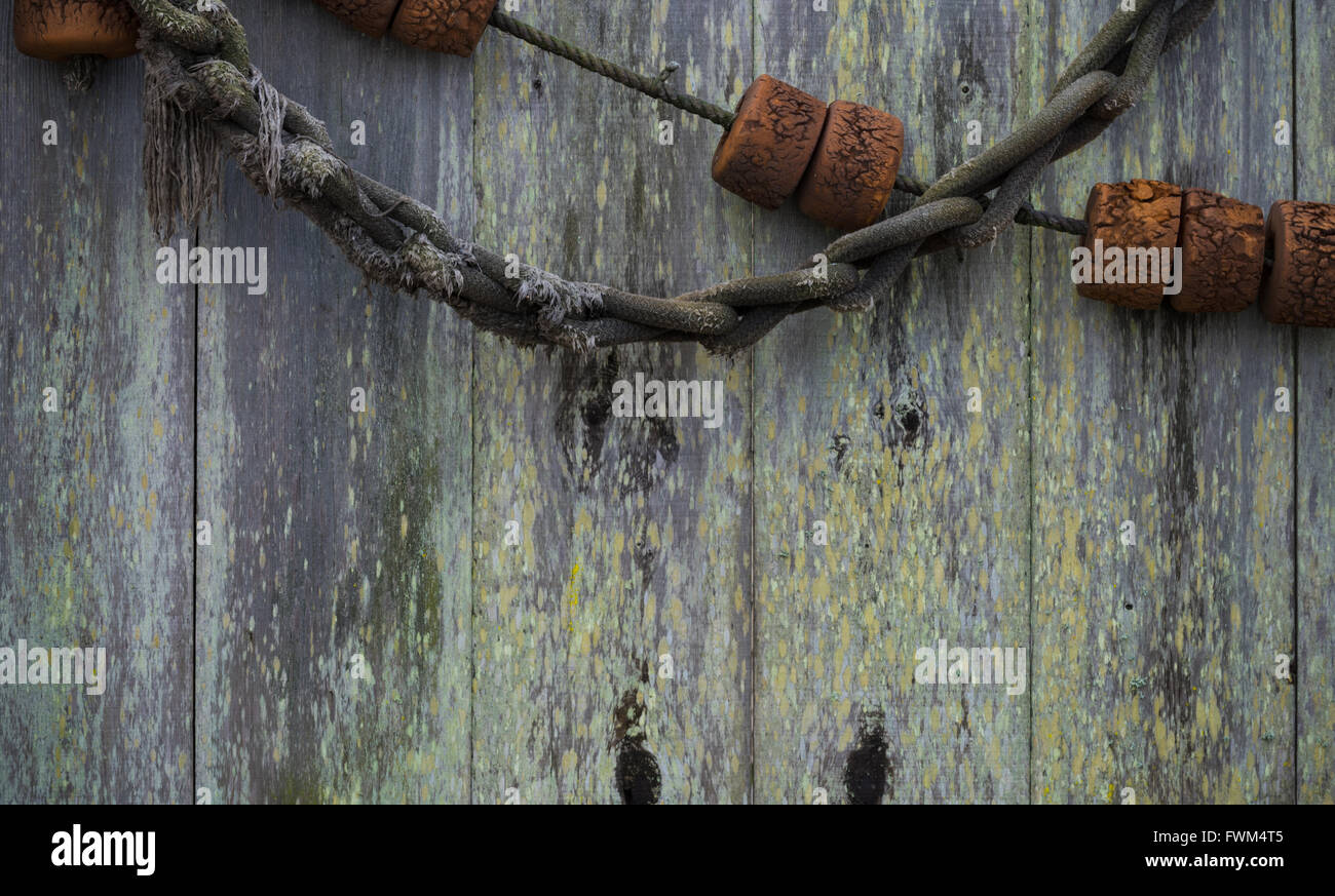 https://c8.alamy.com/comp/FWM4T5/old-grungy-antique-vintage-fishing-equipment-on-a-wood-background-FWM4T5.jpg