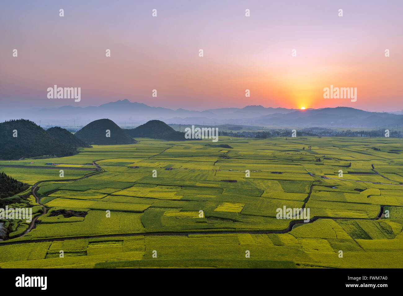 Luoping Yunnan Rape Flower China Stock Photo Alamy