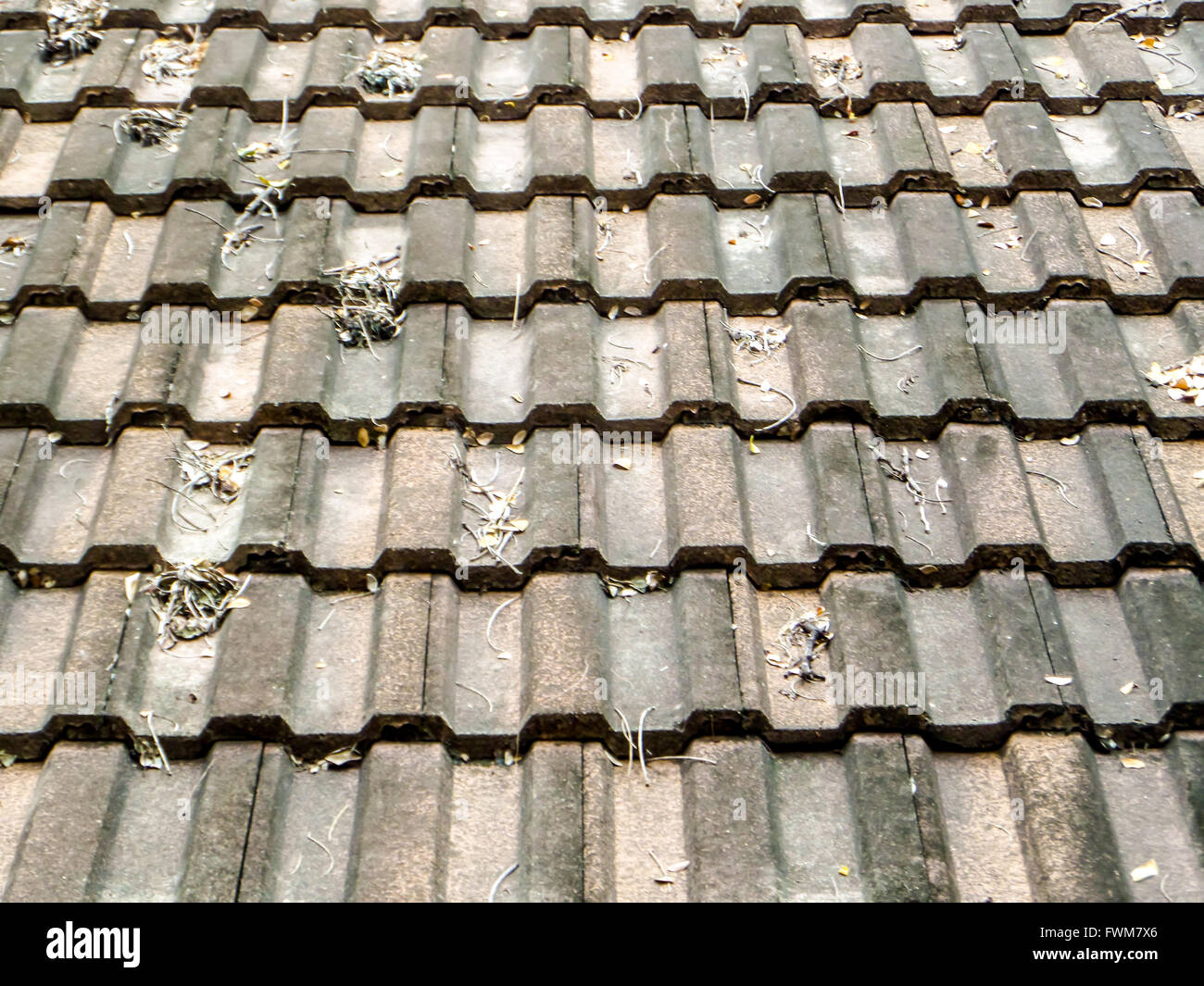 dry leaves on the old and broken roof Stock Photo - Alamy