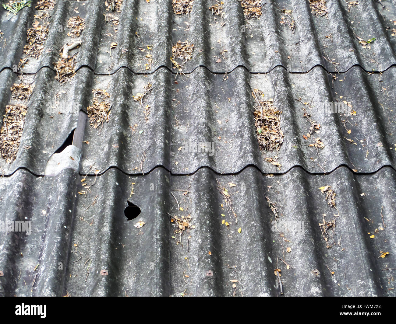 dry leaves on the old and broken roof Stock Photo - Alamy