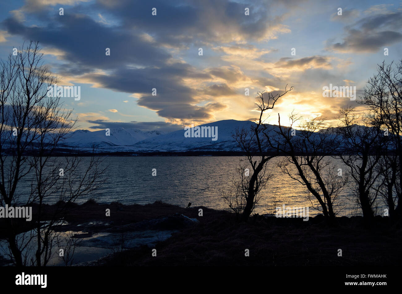 sunset over snowy mountain and fjord landscape with tree in front Stock ...