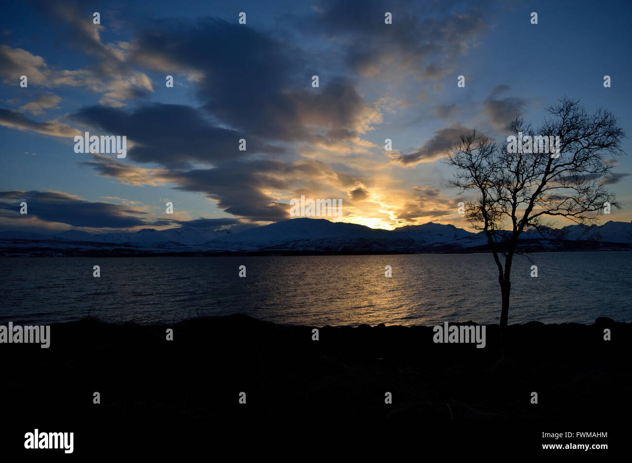 sunset over snowy mountain and fjord landscape with tree in front Stock ...