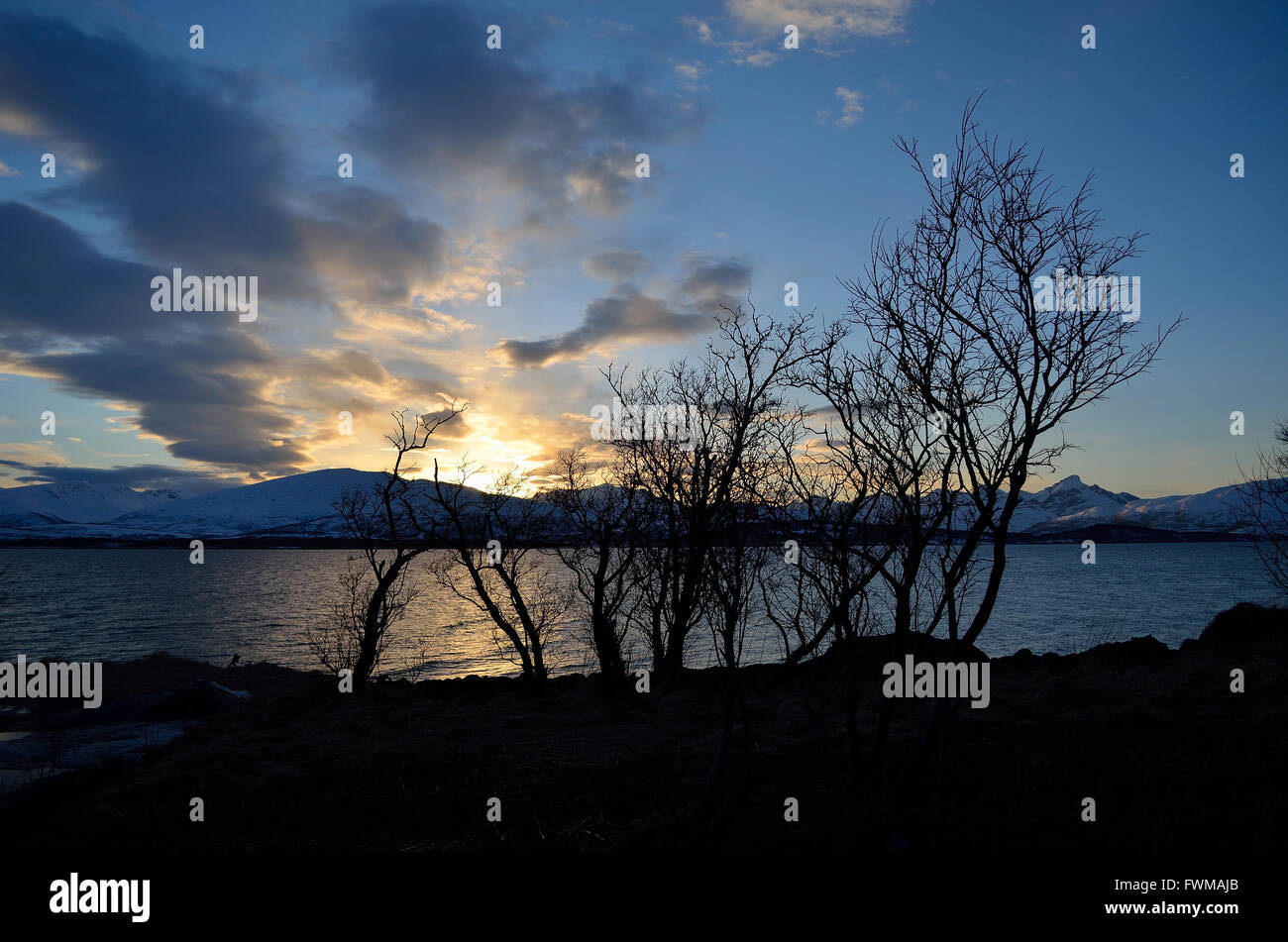 sunset over snowy mountain and fjord landscape with tree in front Stock ...