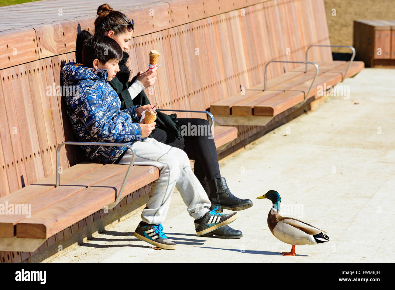 Simrishamn, Sweden - April 1, 2016: Two young people eating ice cream on a long bench in the marina. Mallards are interested and Stock Photo