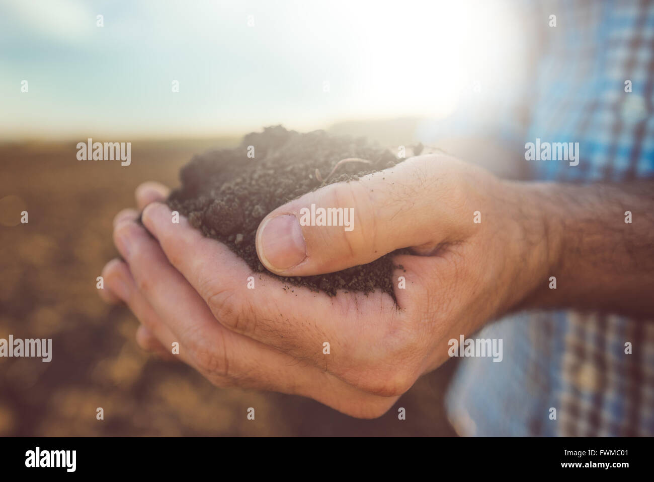 Farmer holding pile of arable soil, male agronomist examining quality of fertile agricultural land, close up Stock Photo