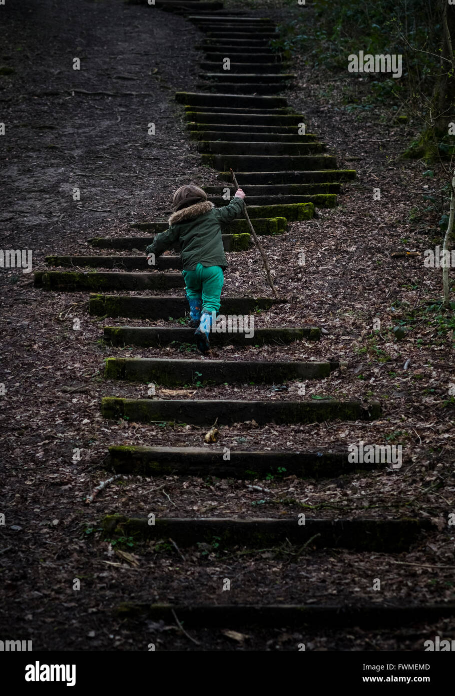 A young boy walking up and down wooden steps in woodland Stock Photo ...