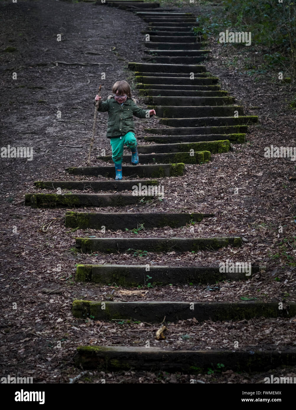 A young boy walking up and down wooden steps in woodland Stock Photo ...