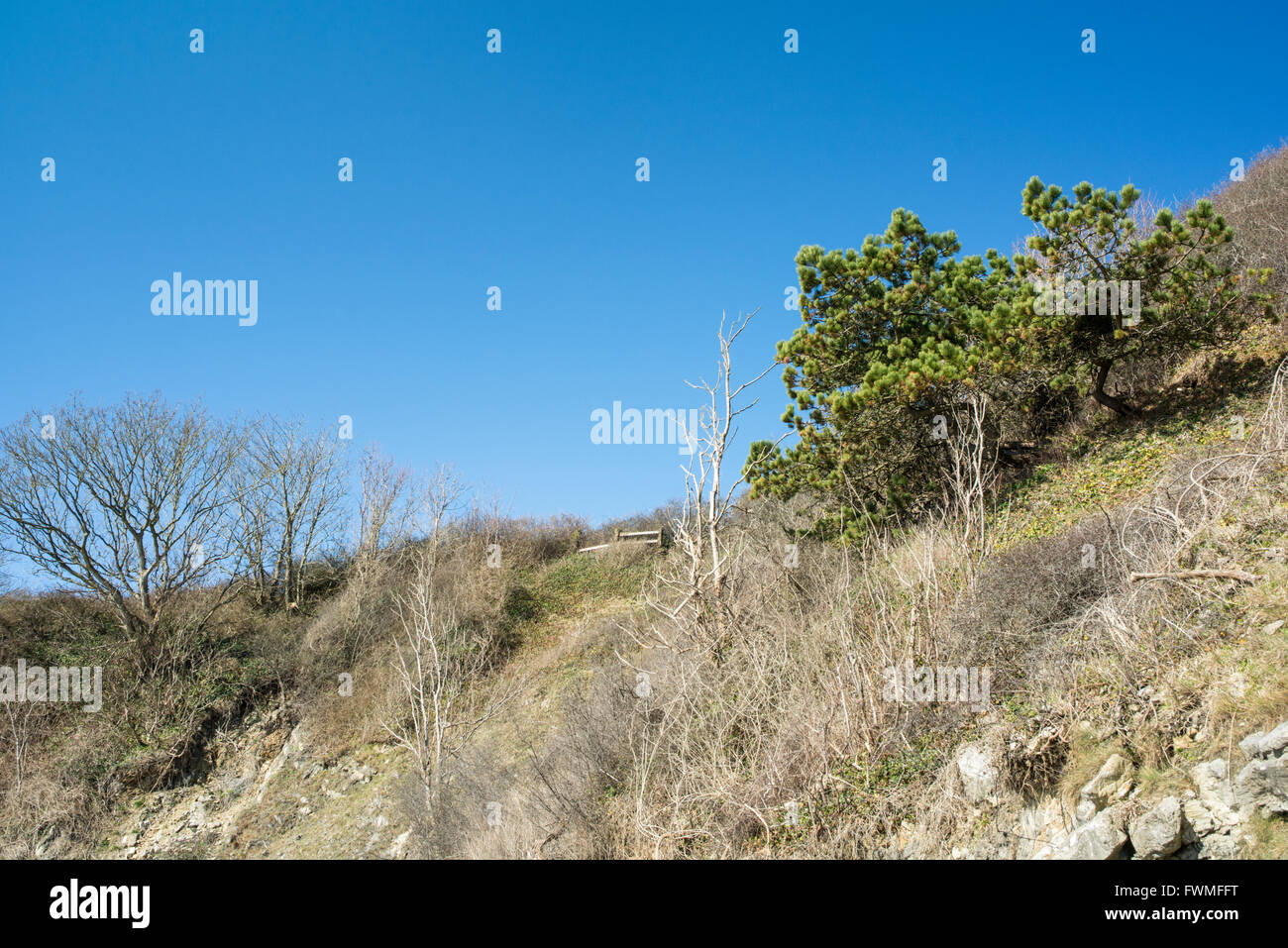 Looking up to the cliff top in the South Wales Heritage Coast. Stock Photo
